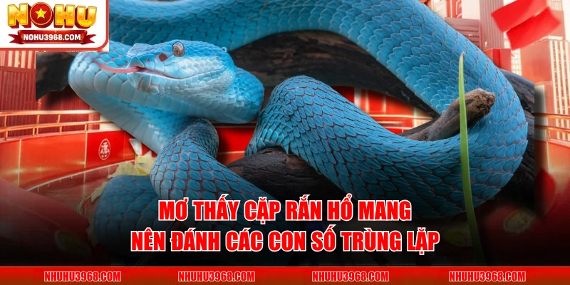 Mơ thấy cặp rắn hổ mang nên đánh các con số trùng lặp